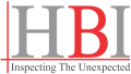 Horizon Business of Inspection Logo