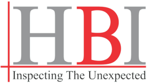 Horizon Business of Inspection Logo